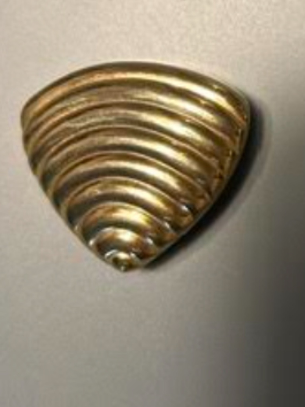 Vintage Bold Gold plated earrings